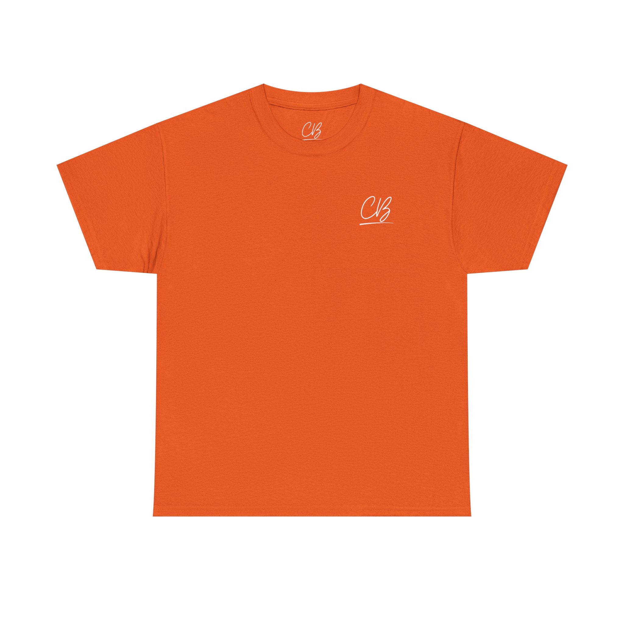 Pre-Med Checklist T-Shirt, Where is the Sanity?